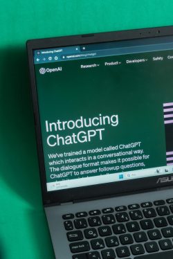 pexels-beyzaa-yurtkuran-279977530-16245254 pexels-beyzaa-yurtkuran-279977530-16245254